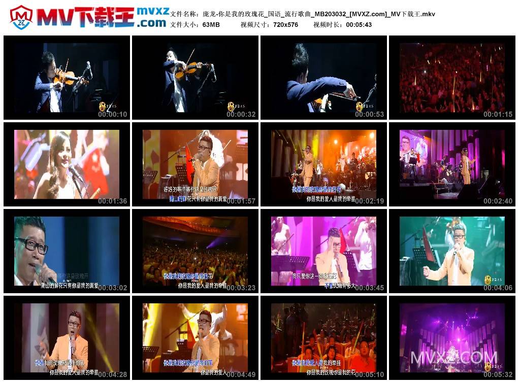 庞龙-你是我的玫瑰花_国语_流行歌曲_MB203032